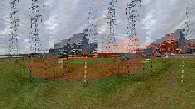 Ridleys Orchard 2