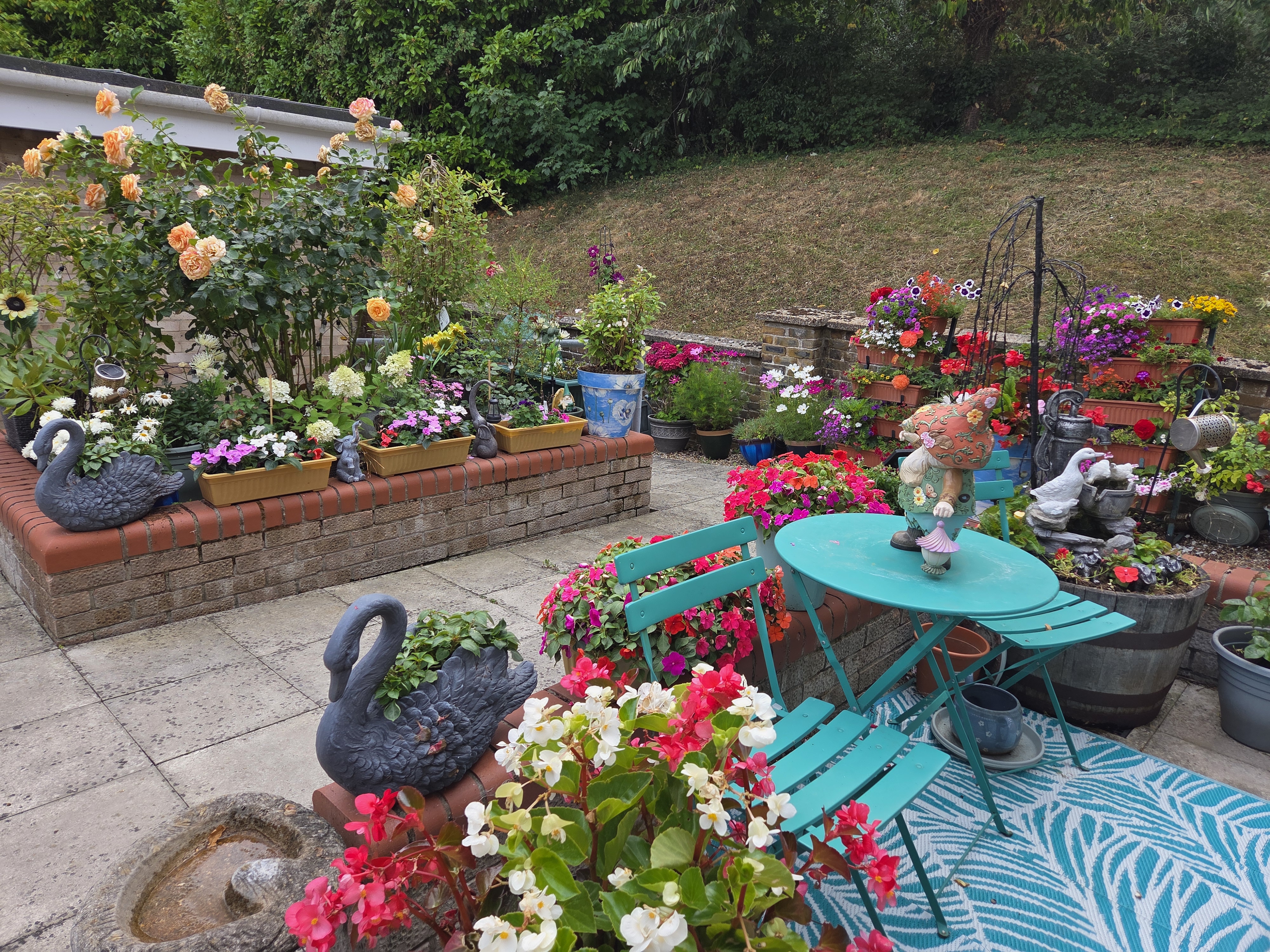 A variety of brightly coloured plants and flowers in the communal garden at Beaumont House.
